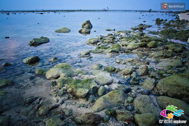 Bãi biển xanh đến ngỡ ngàng ở đảo Lý Sơn