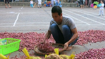 ban-toi-ha-noi1